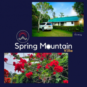 Spring Mountain Villa